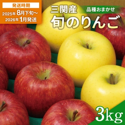 三関産 旬のりんご 秀品 3kg[L15101]