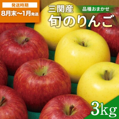 三関産 旬のりんご 秀品 3kg[M15101]