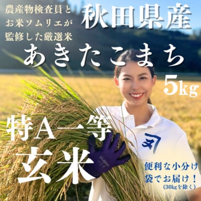 【米農家直送】令和7年産米　特Aランク厳選秋田県産あきたこまち【玄米5kg】[B3-2303]