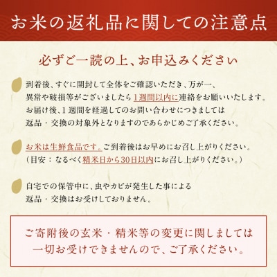 【米農家直送】特Aランク厳選秋田県産あきたこまち【玄米30kg】[I9-2301]