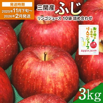 三関産りんごとりんごジュースの詰合せ[B3-2607]