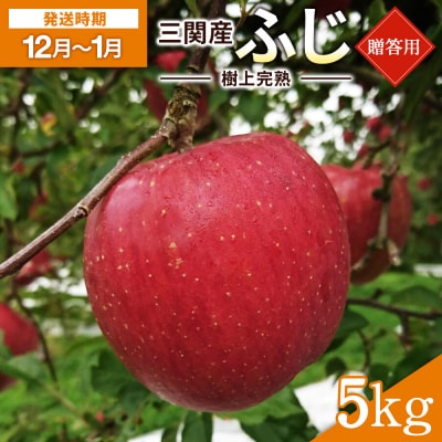 三関りんご 樹上完熟ふじ贈答品 5kg[B5-3203]