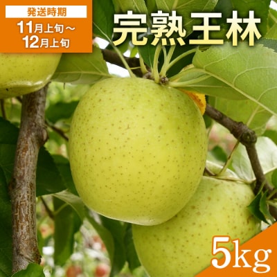完熟王林　5kg[B2-10801]