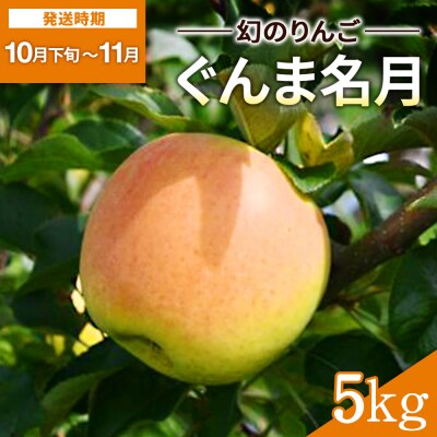 希少価値高い ぐんま名月 5kg[B6-10804]