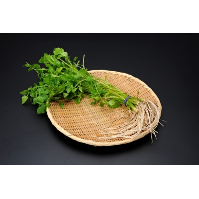 三関産セリ5束[M7801]