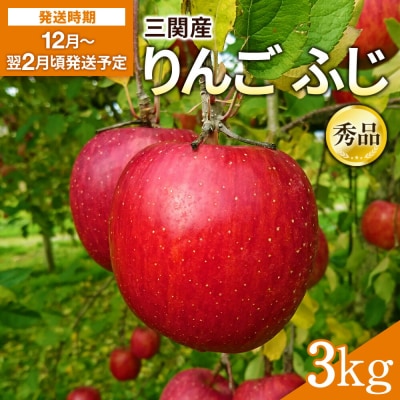 三関産 りんご ふじ 秀品 3kg[L15102]