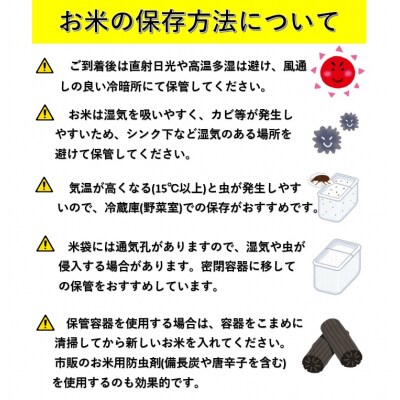 秋田県産あきたこまち 定期便 9回10kg 5kg×2袋 無洗米 令和6年産 新米 [F2505]