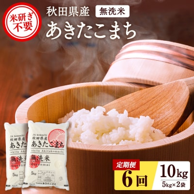 秋田県産あきたこまち 定期便 6回10kg 5kg×2袋 無洗米 令和6年産 新米[F2508]