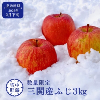 希少価値高い!雪中貯蔵ふじ 秀品 3kg[L15103]