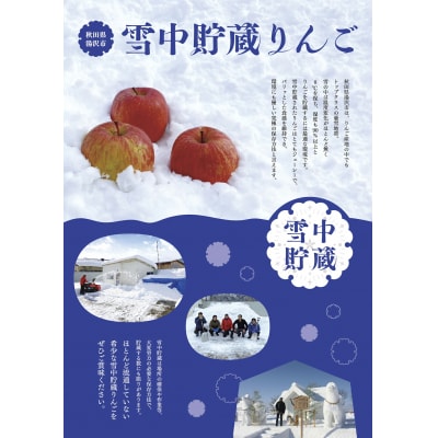 希少価値高い!雪中貯蔵ふじ 秀品 3kg[L15103]