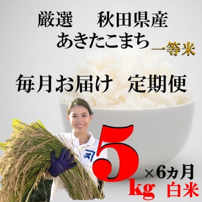 《定期便6ヶ月》秋田県産あきたこまち5kg×1袋 白米[D8-2301]