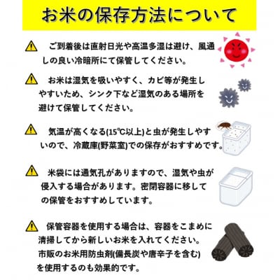 《定期便6ヶ月》秋田県産あきたこまち5kg×1袋 白米[D8-2301]