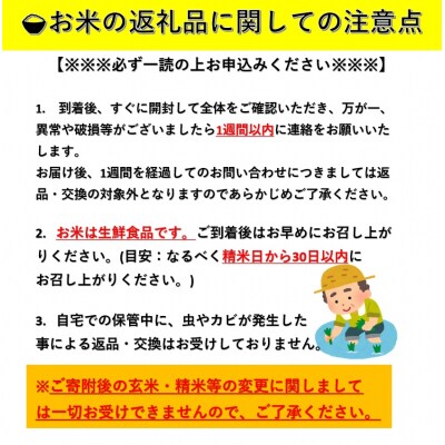 《定期便3ヶ月》令和8年産 秋田県産 あきたこまち 5kg 玄米[C4-2301]