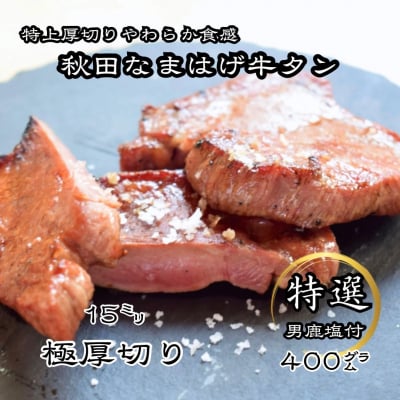 牛タン 厚切り牛タン 秋田 なまはげ牛タン ギフト 贈答 お取り寄せグルメ 400g[H11302]