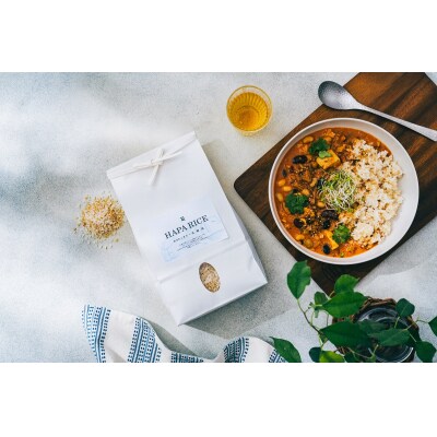 あきたこまち酵素玄米パックごはん【乳酸菌入り】[H2-2301]