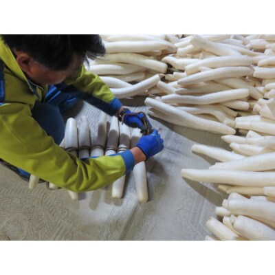 いぶり大根漬け　1本漬け×5本　農薬・添加物不使用[B8-2103]