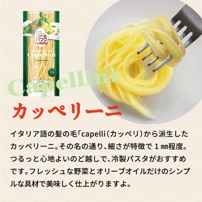 こまち麺パスタ カッペリーニ 250g 10袋セット[B5-15501]