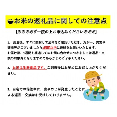 令和6年産 秋田県湯沢市産 あきたこまち 精米 300g(2合)×3袋[A15701]