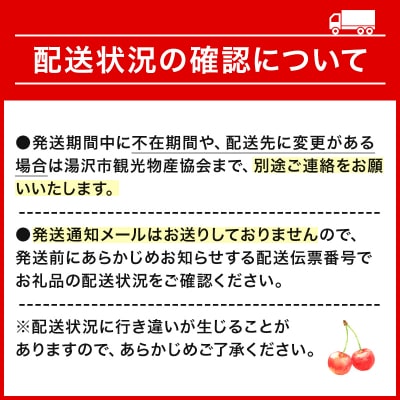 【先行予約】三関産 さくらんぼ 佐藤錦 500g 秀品 Lサイズ 常温 果物 [B3-3201]