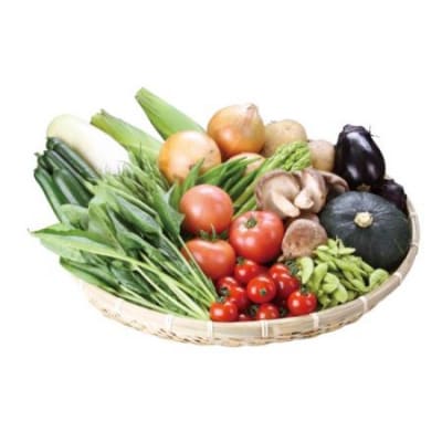 朝採り新鮮野菜セット[B4-2701]
