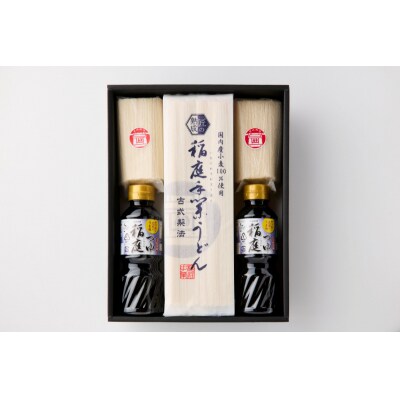 稲庭うどん・つゆ付　雲竜紙化粧箱入　約12人前[B2-1501]