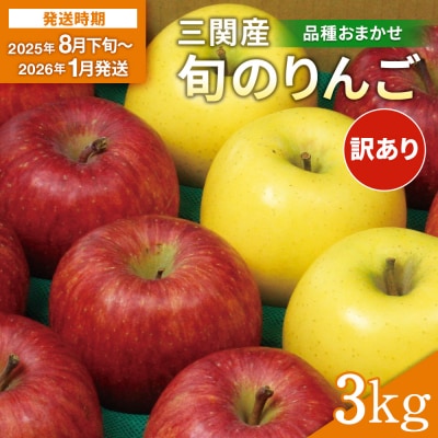三関産 旬のりんご 家庭用 3kg[J15101]