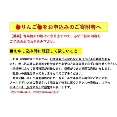 三関産 旬のりんご 家庭用 3kg[J15101]