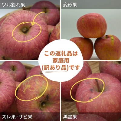三関産 旬のりんご 家庭用 3kg[J15101]