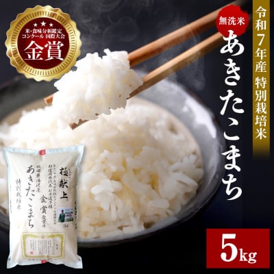 【令和7年産】特別栽培米 あきたこまち 無洗米 5kg[B8-2101]