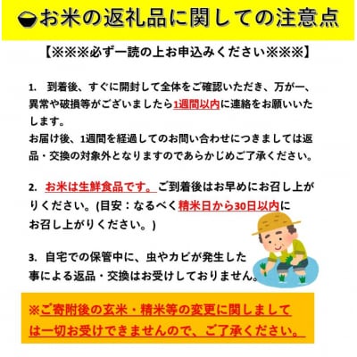 【令和7年産】特別栽培米 あきたこまち 無洗米 5kg×2袋[C6-2101]