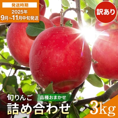 りんご 早生 品種おまかせ 家庭用 3kg[J5-2801]