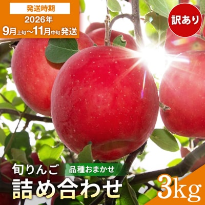 りんご 早生 品種おまかせ 家庭用 3kg[L2802]