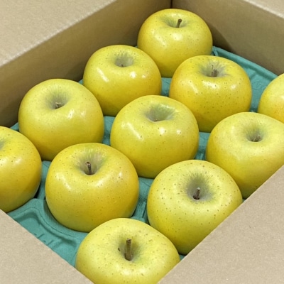 りんご 早生 品種おまかせ 家庭用 3kg[L2802]