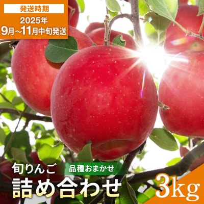 りんご 早生 品種おまかせ 秀品 3kg[L2801]