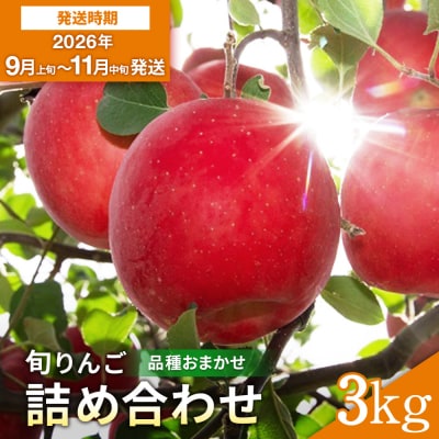 りんご 早生 品種おまかせ 秀品 3kg[M2801]
