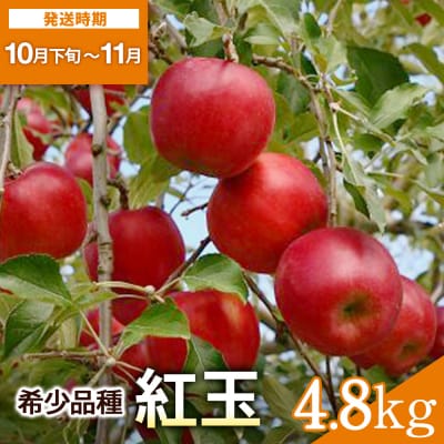 希少価値高い!紅玉 4.8kg[B6-10803]