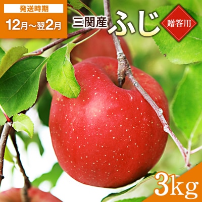 りんご 贈答用 ふじ(サンふじ) 3kg[B2-10802]