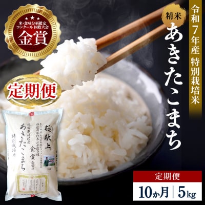 【定期便10ヶ月】【令和7年産】特別栽培米あきたこまち精米5kg[F2120]