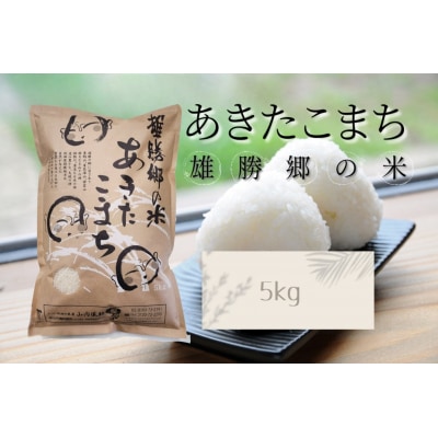 あきたこまち 雄勝郷の米 白米5kg[B6-2001]