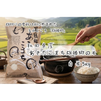 あきたこまち 雄勝郷の米 白米5kg[B2004]