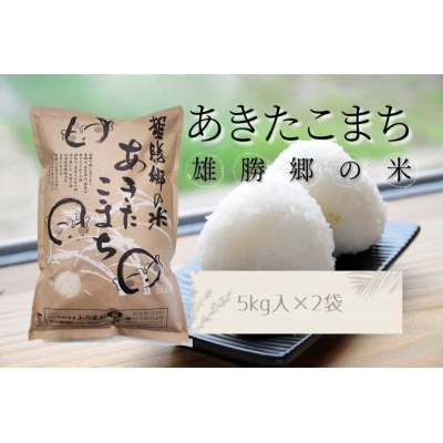 あきたこまち 雄勝郷の米 白米5kg×2袋[C2-2001]