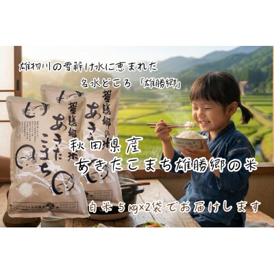 あきたこまち 雄勝郷の米 白米5kg×2袋[B9-2001]
