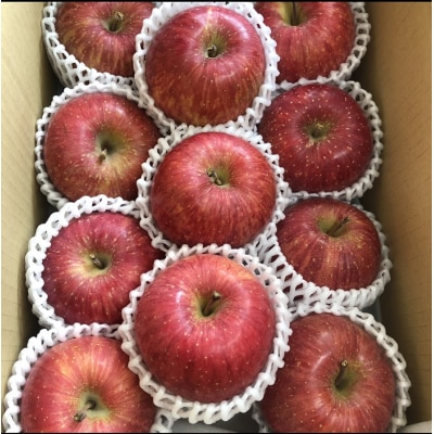 秋田県産 りんご ふじ 3kg 最高の甘味と香り 産地直送[B1-9904]