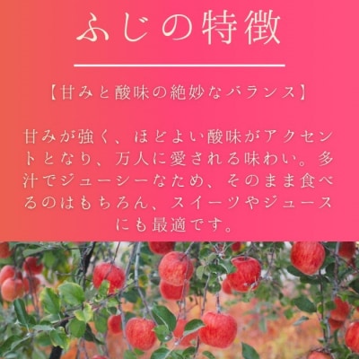 秋田県産 りんご ふじ 2.5～3kg 最高の甘味と香り 産地直送[B9918]