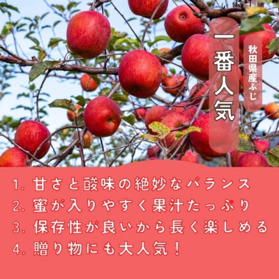 秋田県産 りんご ふじ 3kg 最高の甘味と香り 産地直送[B1-9904]
