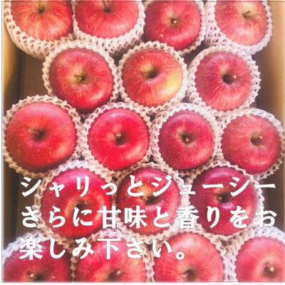 秋田県産 りんご ふじ 5kg 最高の甘味と香り 産地直送[B5-9905]