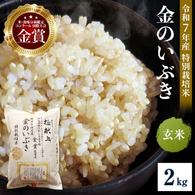 【令和7年産米 冷めても美味しい玄米】特別栽培米 金のいぶき 2kg[B2105]