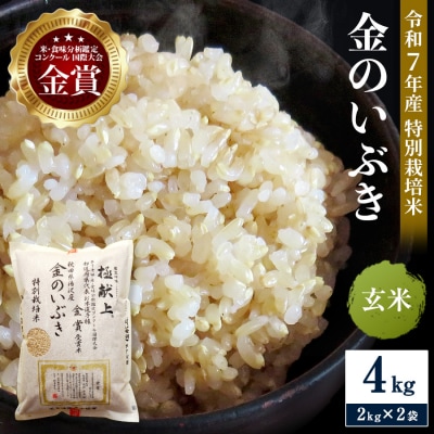 【令和7年産米 冷めても美味しい玄米】特別栽培米 金のいぶき 2kg×2袋[B8-2102]