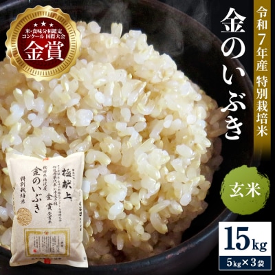 【令和7年産米 冷めても美味しい玄米】特別栽培米 金のいぶき 5kg×3袋[D5-2101]