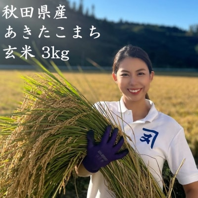 【米農家直送】令和7年産米　特Aランク厳選秋田県産あきたこまち【玄米3kg】[B2312]